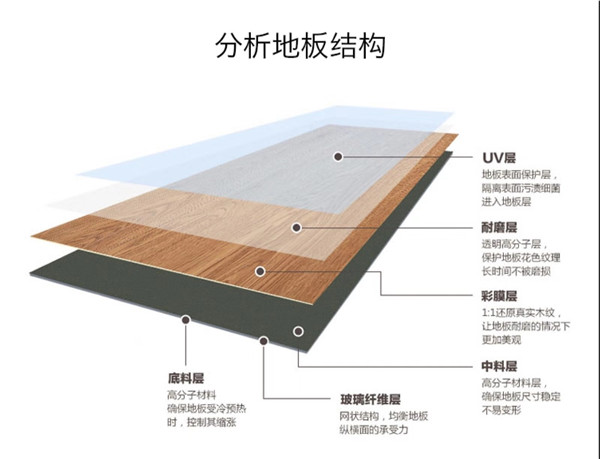 典雅复合地板剖析图(图1)